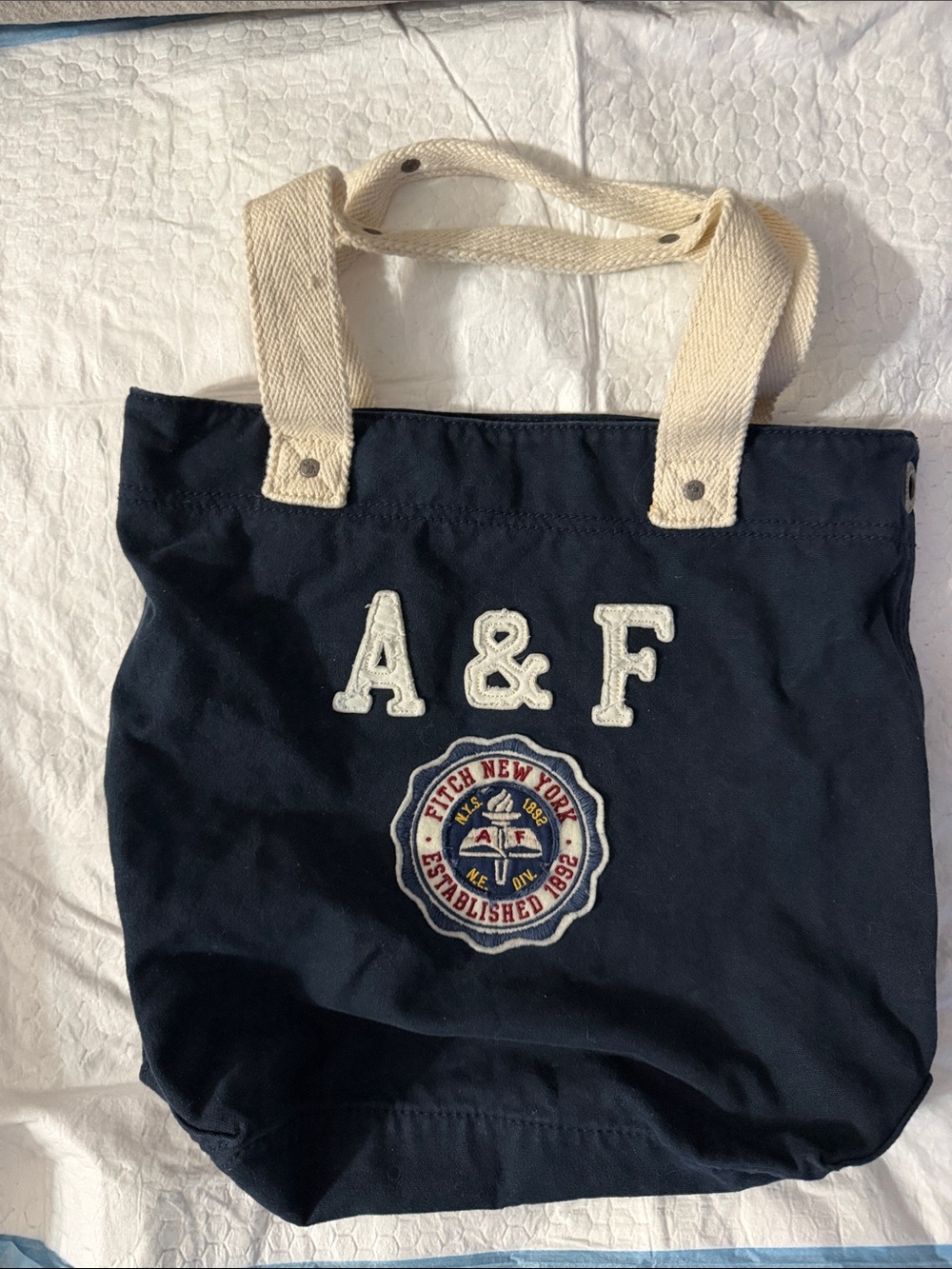 Abercrombie & Fitch y2k  Navy Canvas Tote